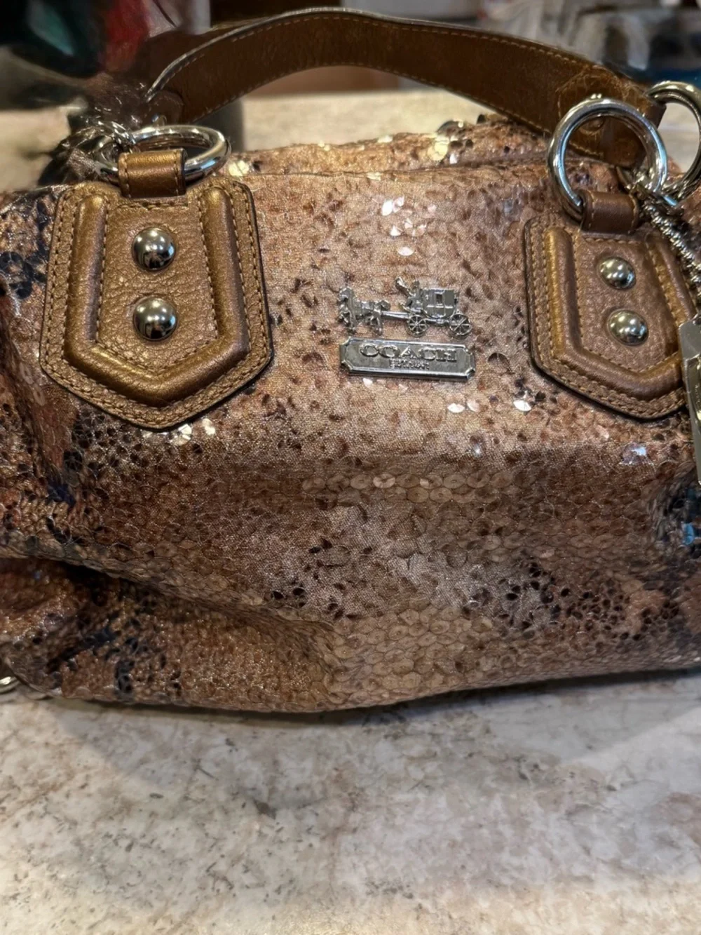 Coach Bronze Sequin Satchel